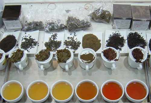 Kerjanya Seneng-Seneng